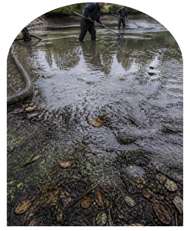 Очистка пруда в Сызрани от ила мусора и водорослей с вывозом